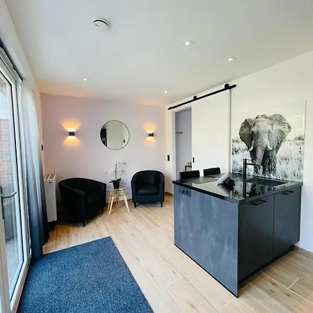 Dishoek-2